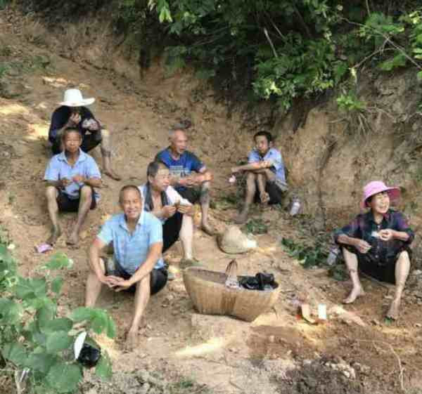 办农民合作社,我由衷佩服大集体时期的生产队长