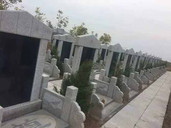 中国村霸横行录