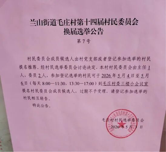 本文以2026年5月山东省临沂市毛庄村村委会换届选举为案例，通过将村委会主任与公务员科员进行“权力—责任—程序”对比分析，论证参照国家公务员考试标准规范基层选举的必要性，并从程序刚性化、资格标准化、审计前置化、误工费法定化、就职宣誓制度化、刑事责任法定化等维度提出制度重构建议。