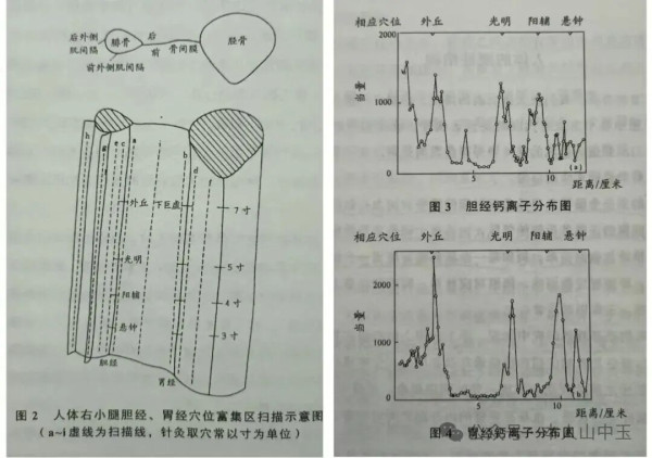 经络是气血运行的通道，而经筋则是经络系统的重要组成部分。经筋的正常功能有助于经络气血的流通，当经筋出现问题时也会影响经络的通畅，进而导致气血运行不畅，引发各种疾病。《黄帝内经》有云：“经筋者，可以决生死，处百病，不可不通也”，这深刻揭示了经筋在人体健康中的关键地位。