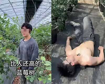 演出结束后，一切又迅速回到现实。 演员卸妆、换衣服，准备下一场演出。那些被反复讨论的肌肉、荷尔蒙和“性张力”，最后也只是整套娱乐工业里的工作内容。