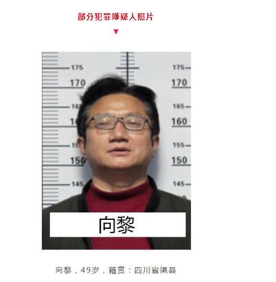 当黑老大,成了学校的校长