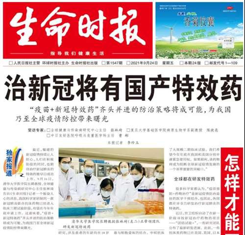 中医药,明明就是一块珠玉,为什么不好好利用它?