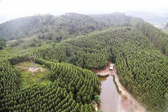 全球土地的控制权变迁并不遵循特定的地理轨迹,由于资本的逐利性,资本可能在任何可以获利的地方想方设法获得土地。同时,我们应该要考虑相应的土地变迁对村民的影响,要考虑到村民的不同利益、所处位置和所得所失,这样才能够更好地理解他们所受的影响并采取一些相应的措施。