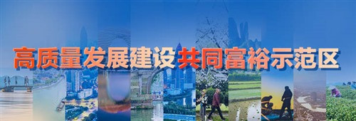今天推行共同富裕，实质首先就是要消除资产阶级与工人阶级、农民阶级等劳动人民的利益对立，不仅要解决收入分配差距过大的问题，而且要逐步解决生产资料占有不公平的问题，把生产资料的资本家占有变为劳动人民的公共占有。不解决这个问题，共同富裕只能是一句空话。