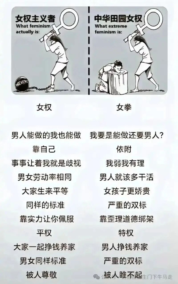 资产阶级妇女比资产阶级男性更加的反动。这个论断不是情绪化的性别偏见，而是基于唯物辩证法与阶级分析法得出的必然结论。它撕碎了唯心主义“跨阶级姐妹情谊”的温情面纱，一针见血地指出：资产阶级妇女不仅是剥削制度的共同分赃者，更是这个体制最顽固、最残忍的捍卫者。
