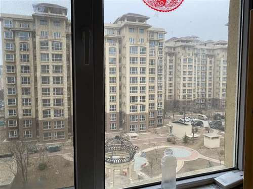 车祸:当一个顺丰同城骑手撞了一个送美团外卖的顺丰分拣员