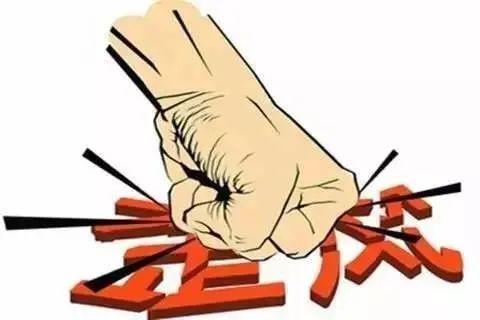 对于我们走过的弯路，经验教训还是要吸取的。这段历史确实需要认真反省。如果我们要防止犯下颠覆性的错误，这样的反省是绝对不能缺少的。