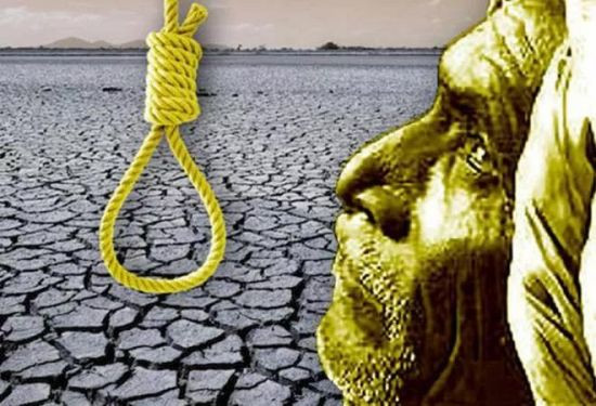 要收回我们的主权，我们不应只做个消费者，我们还可以发挥主观能动性，建立起新的食物体系，改写对粮食种植者和消费者进行双重剥削的权力关系。