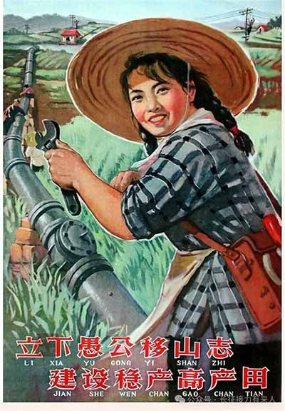历史的账簿，需要被清算。但清算不是要找一个人来“背锅”——那不是清算，那是“替罪”。真正的清算，是承认：我们在一场宏大的制度变迁中，拆掉了一套管用的机制，却没有建起一套新的机制来替代它。