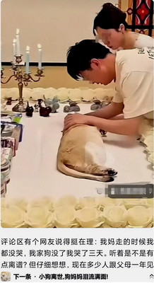在鲜明的对比下，老百姓活得不如富豪的一条狗!这本身就是极大的悲剧，是对执政者极大的讽刺，应该引起党政部门的重视予以纠正
