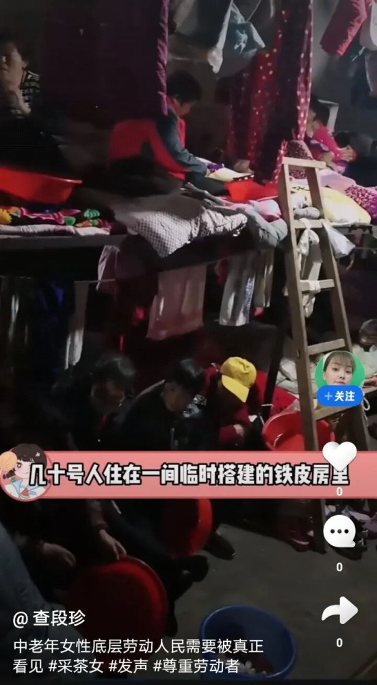 然而撕开这层被资本精心编织的华丽外衣，展现在世人面前的却是另一幅令人窒息的图景：在某国的产茶大省，一群年龄在五十岁到七十岁之间的老年女性，正佝偻着腰背，在凌晨四点的冷雨中，用皲裂红肿的手指，为那一抹所谓的天价清香付出着血与汗的代价。