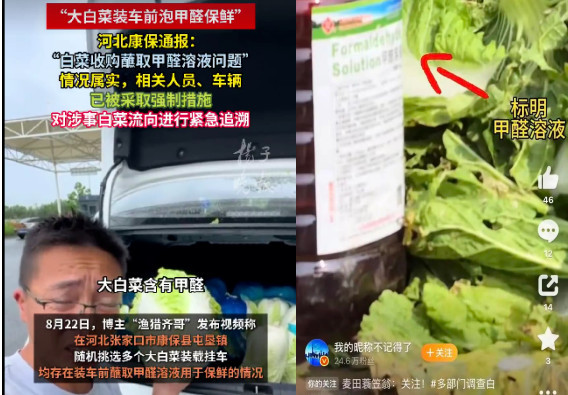 “早产月饼”与“蘸药白菜” ，咋个治法？