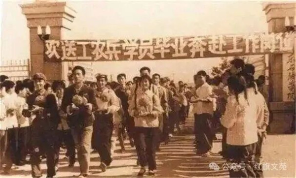 莫易：用心良苦