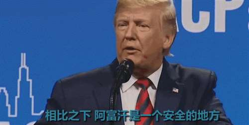 美国独立日为何枪声四起?