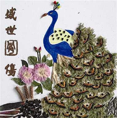 【健康观察哨】加快中医执业医考试改革，选拔师承教育和自学成才的中医爱好者