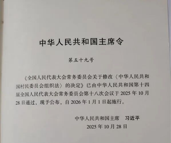 本文以2026年5月山东省临沂市毛庄村村委会换届选举为案例，通过将村委会主任与公务员科员进行“权力—责任—程序”对比分析，论证参照国家公务员考试标准规范基层选举的必要性，并从程序刚性化、资格标准化、审计前置化、误工费法定化、就职宣誓制度化、刑事责任法定化等维度提出制度重构建议。