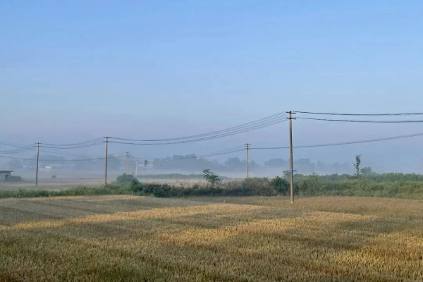 在公共舆论里，每次谈到气候变化给农业生产带来的风险，专家、公众甚至政策制定者总是不约而同地把“农业保险”作为救命稻草。但是，农业保险在我国实施的现状、农民对此的态度、保险是否就等于保障，这些具体的问题缺少有人深入追问。