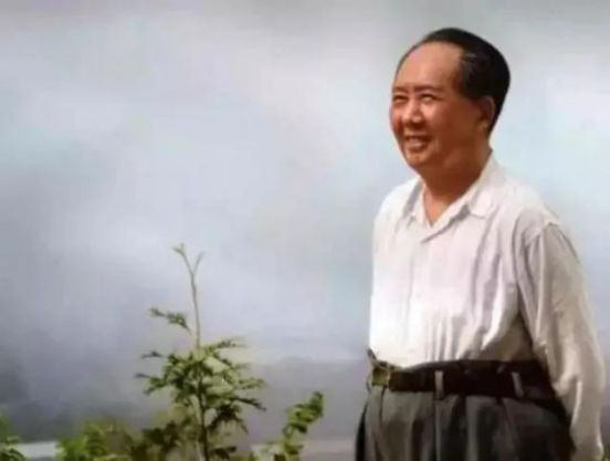 将有效的中医打入冷宫，让无效的西医喧宾夺主，这只会让人想起四个字——资本掠夺。