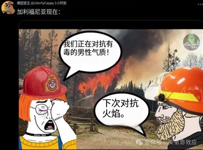 因为这次洛杉矶大火嘲笑美国的,都是些没见识的自媒体。人家这次体现出来的高超谋划力、绝顶组织力,绝对经济拉动力和丧事喜办推高GDP的能力,显然比我们领先许多年。