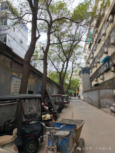 新乡市红旗区一社区铲绿扩路引质疑，老旧小区改造岂能“以硬代绿”？