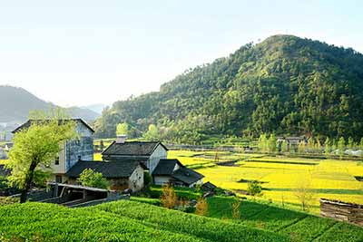现代化农村并不是说一定要有高楼大厦，但一定需要有现代教育、现代医疗、现代交通以及公共服务，现代化的农村也不是意味着所有人从事农业，但一定能够为当地人群提供有尊严、有保障的生活。如何让人们即使留在农村，也能够享受到现代化生活，这将是未来发展的重要问题之一。