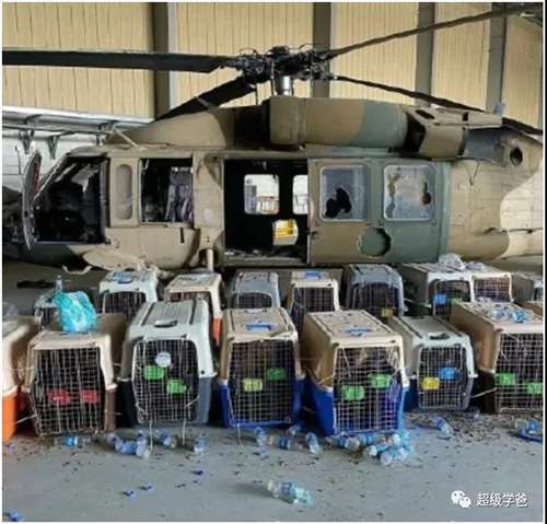 我们常常因为自己不够变态,而感到跟美国格格不入。但最终我们将会发现,美国这么做只是在自欺欺人,再怎么甩锅,也无法解决美国毒品泛滥的问题。