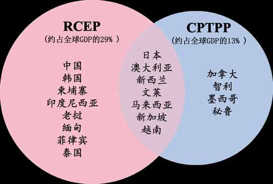 “RCEP”到底签了什么, 中国真是“最大赢家”吗?
