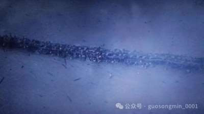 用先烈的奋斗牺牲“垄断”创作商业影视剧，还打着纪念的旗号堂而皇之大行其道，传递的却是完全歪曲了的思想内核……还有什么样的历史虚无如此无耻和令人悲愤吗？