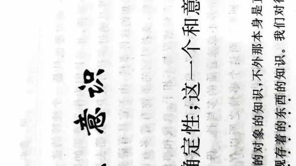 在《历史与阶级意识》新版序言中,卢卡奇提出了著名的“卢卡奇命题”,即认为黑格尔将对象化(Vergegenständlichung)和异化(Entfremdung)相等同,而马克思对这二者作出了严格区分。