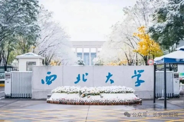 所谓“浅浅体”，留下的是深深的毒害；所谓“文二代”，暴露的是重重的腐败。唯有彻底斩断学术特权链条、严肃惩处学术不端、打破圈层利益垄断、重建公平透明的评价体系，才能修复破碎的公信力。