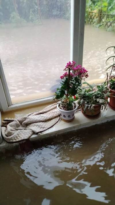 暴雨下的东北民间，正在经历什么？