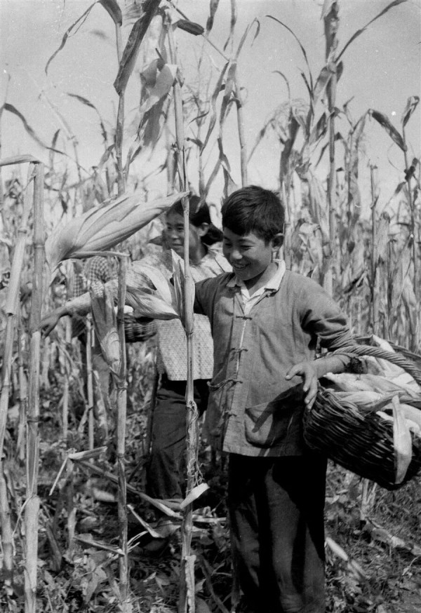 “公社”为何物？：英国记者1960年走访中国15个人民公社