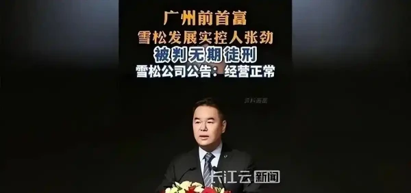 第二个许家印！又一首富栽了！世界500强全靠造假，千亿帝国清零