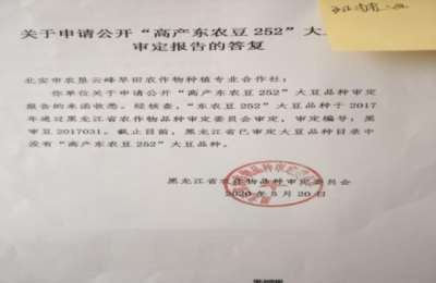 宾县大豆基地的资产疑云与假种子乱象，是一面照见乡村振兴现实困境的镜子。一粒种子的重量，关乎国运民生;一次维权的艰难，考验法治成色。