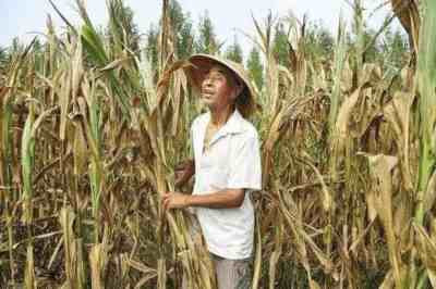 在乡村社会分化和村集体空壳化的背景下,实现农田水利设施的公共服务,最终还是要依靠国家资源。