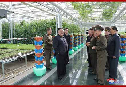 金正恩视察部队农场：解决吃饭问题要有决定性转变