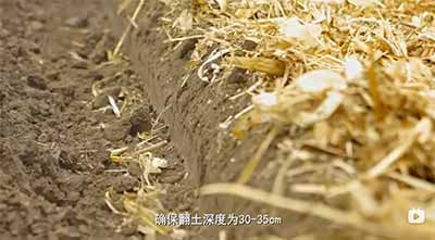 各地执行秸秆禁烧令的松紧程度不一。我们此行见到的农民，大部分人在经历了还田或离田带来的麻烦后，又烧回了秸秆;少部分人从来都是一烧了之，即便在禁烧最严格的时候，也是偷摸着烧。