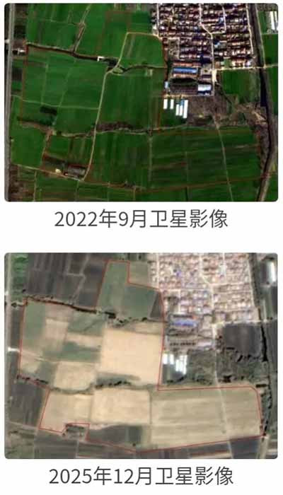所有这些案件都揭示，在该国的部分领域和地区，市场经济/资本主义下资本家为了实现利润最大化，正在不惜与地方官员勾连结盟，系统性地侵蚀耕地和破坏生态。