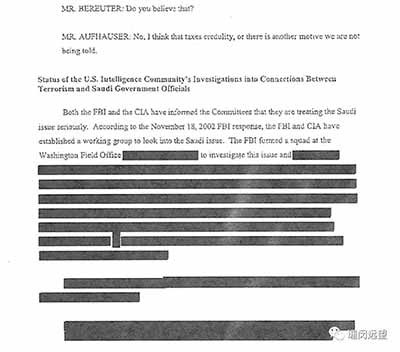 他认为美国民选政府受选民监督、问责之机制早已彻底瘫痪，取而代之的是以机密政策绕过宪政体制，以及透过恐怖统治的力量压抑、操控人民的“影子政府”;在“影子政府”外围，则是由庞大军工业、财团构成，透过游说、政治献金买通国会的“深层集团”;至于一般人所知的“民选政府”，只是表象。