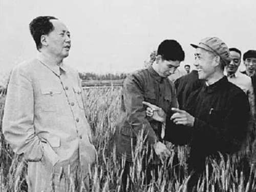 个人努力、奋斗当然重要，但“个人奋斗”与“改造大环境”，究竟哪个才能决定一个群体、一个阶级命运的呢？普遍存在的阶层固化的现实已经给出了答案！