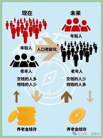 他们在社保的裂缝里下注——“暂不缴纳”的背后，是千万个正在下沉的人