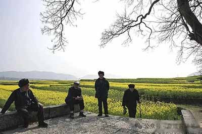 退休返乡半年,我终于看透:多数农村老人,根本不是养老是熬日子