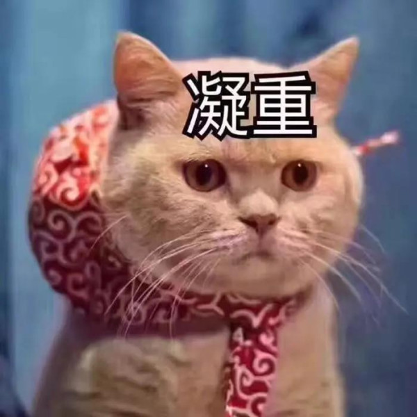 《民主课》以小说形式还原了20世纪60-70年代的历史现场，带我们回到了那个激情燃烧的岁月，让我们看到了那些不论幼稚不论荒唐却充满真诚善良的普通人的成长，以及中国人民生生不息的对平等的追求和要求。