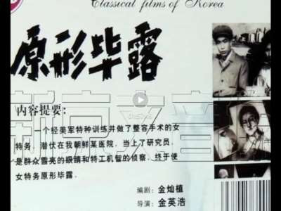 南朝鲜特务在朝鲜“潜伏”：《原形毕露》