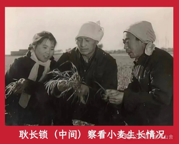 历史的真相——《耿长锁与五公村口述史》札记