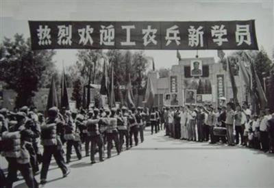 莫易|非蠢即坏
