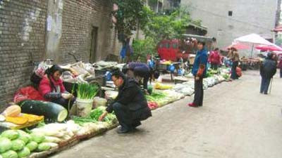 【摘要】针对日益下降的食品质量，尤其果实与蔬菜，市民就采取少购买的办法抗议，而在种植端，大量农产品滞销。产的多，买的少，农产品滞销，烂在地里也没有人收集，造成的资源浪费是惊人的。在这样的生产模式下，不仅仅是菜农受害，连城市的小商贩也受害了，他们的收入越来越小了。