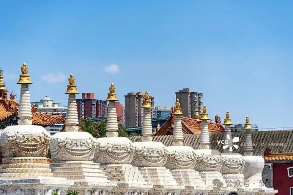 【新红旅】驰骋塞上河套，踏遍贺兰阴山