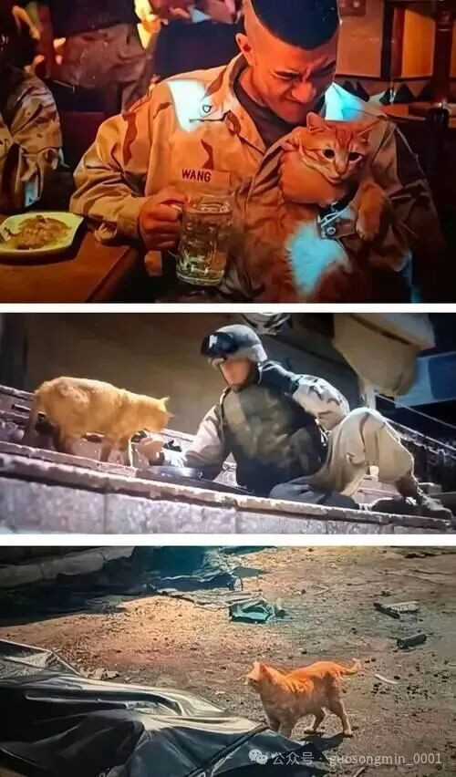 这个裂隙,按照常理是无法跨越的,但因为有编导的帮助,他居然跨越了。